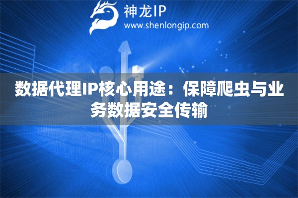 数据代理IP核心用途：保障爬虫与业务数据安全传输