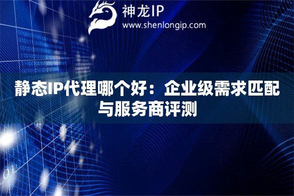 静态IP代理哪个好：企业级需求匹配与服务商评测