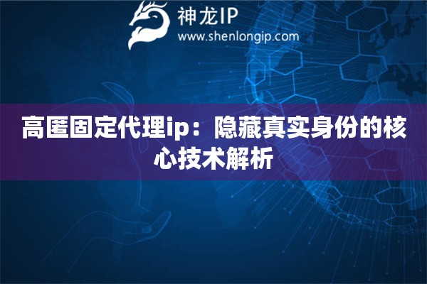 高匿固定代理ip：隐藏真实身份的核心技术解析