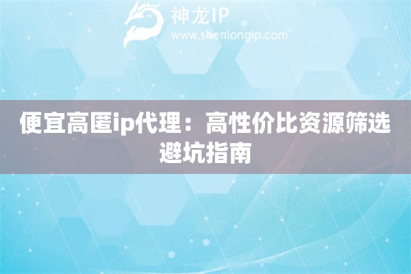 便宜高匿ip代理：高性价比资源筛选避坑指南