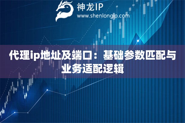 代理ip地址及端口：基础参数匹配与业务适配逻辑