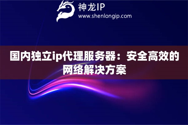 国内独立ip代理服务器：安全高效的网络解决方案