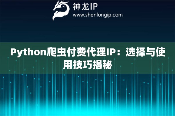 Python爬虫付费代理IP：选择与使用技巧揭秘