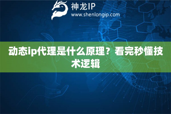 动态ip代理是什么原理？看完秒懂技术逻辑