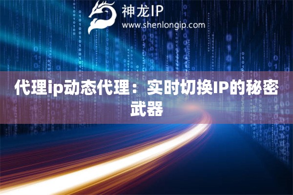 代理ip动态代理：实时切换IP的秘密武器