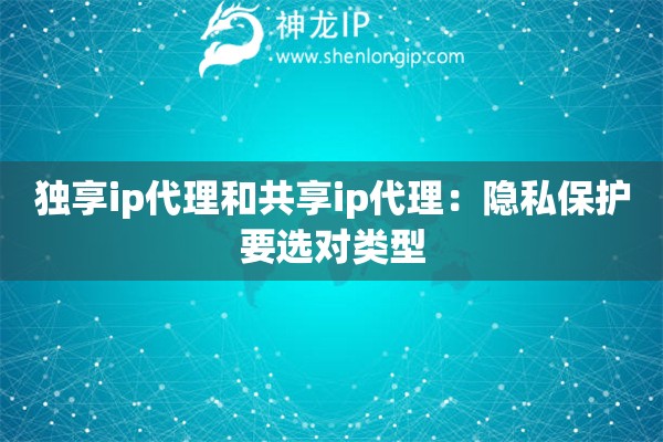 独享ip代理和共享ip代理：隐私保护要选对类型