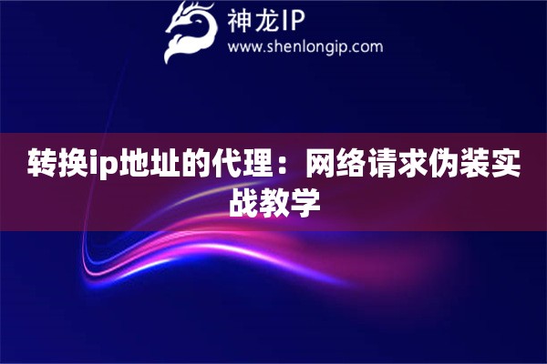 转换ip地址的代理：网络请求伪装实战教学