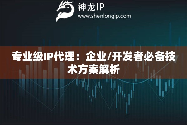 专业级IP代理：企业/开发者必备技术方案解析