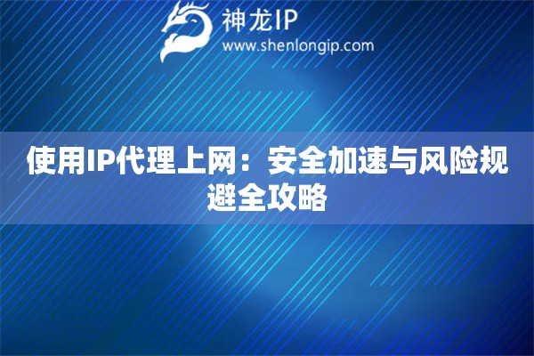 使用IP代理上网：安全加速与风险规避全攻略