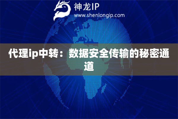 代理ip中转：数据安全传输的秘密通道