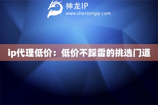 ip代理低价：低价不踩雷的挑选门道