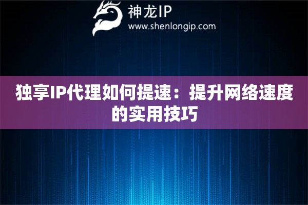 独享IP代理如何提速：提升网络速度的实用技巧