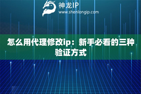 怎么用代理修改ip：新手必看的三种验证方式