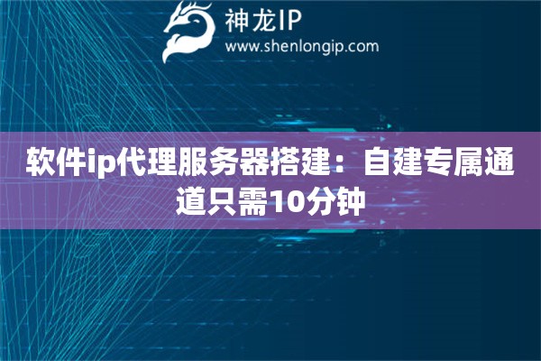 软件ip代理服务器搭建：自建专属通道只需10分钟