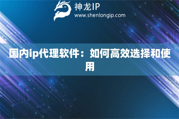 国内ip代理软件：如何高效选择和使用