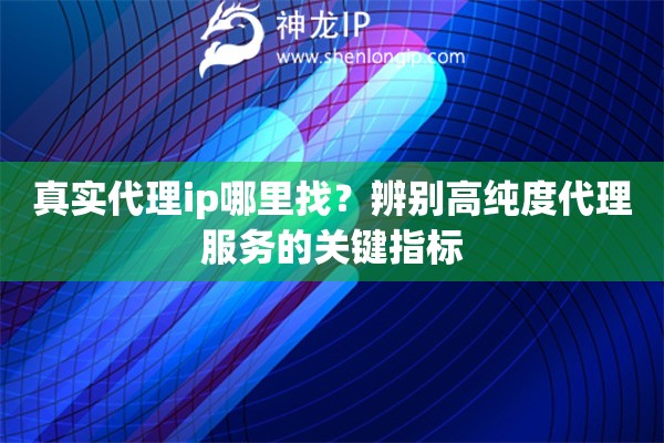 真实代理ip哪里找？辨别高纯度代理服务的关键指标