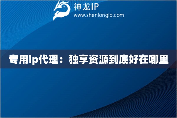 专用ip代理：独享资源到底好在哪里