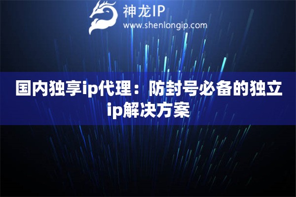 国内独享ip代理：防封号必备的独立ip解决方案