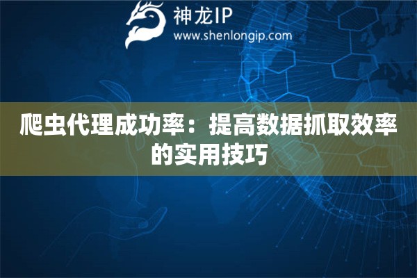 爬虫代理成功率：提高数据抓取效率的实用技巧