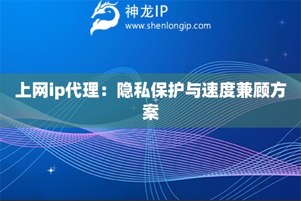 上网ip代理：隐私保护与速度兼顾方案