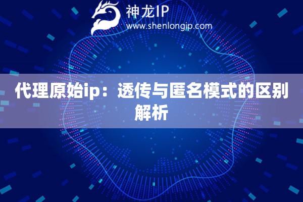 代理原始ip：透传与匿名模式的区别解析