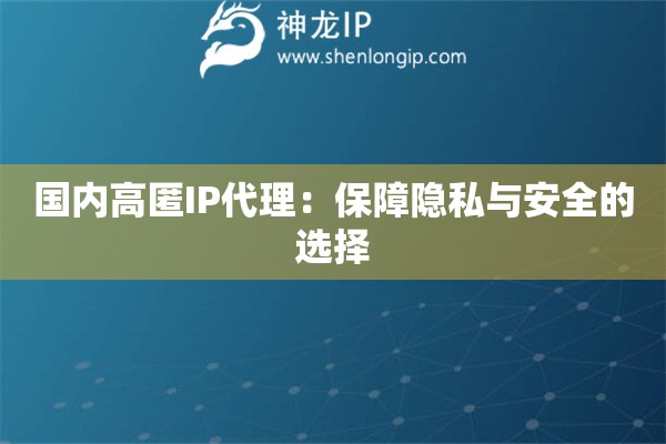 国内高匿IP代理：保障隐私与安全的选择