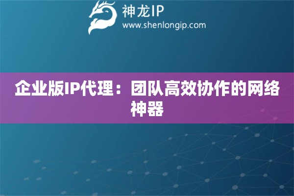 企业版IP代理：团队高效协作的网络神器