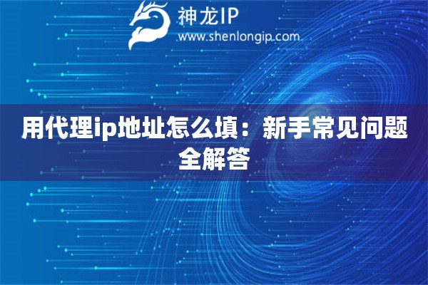 用代理ip地址怎么填：新手常见问题全解答