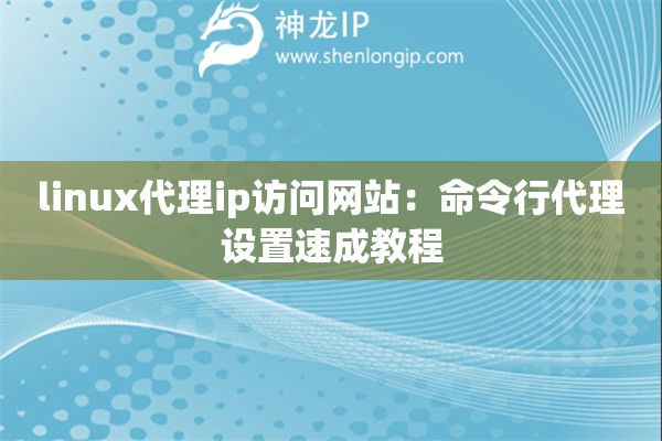 linux代理ip访问网站：命令行代理设置速成教程