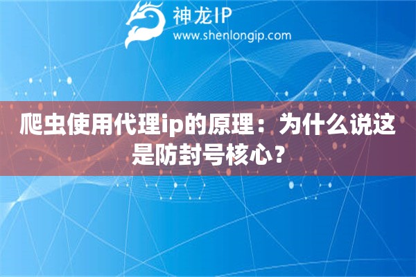 爬虫使用代理ip的原理：为什么说这是防封号核心？