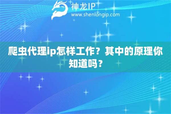 爬虫代理ip怎样工作？其中的原理你知道吗？