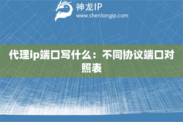 代理ip端口写什么：不同协议端口对照表