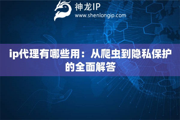ip代理有哪些用：从爬虫到隐私保护的全面解答