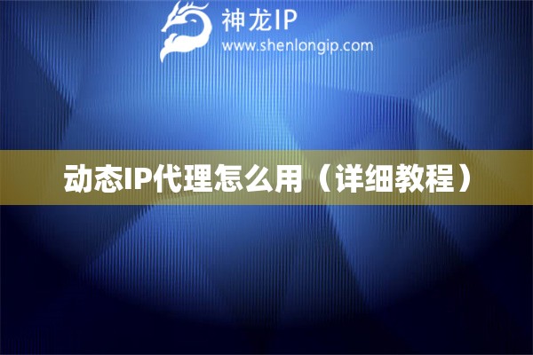 动态IP代理怎么用（详细教程）