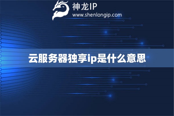 云服务器独享ip是什么意思