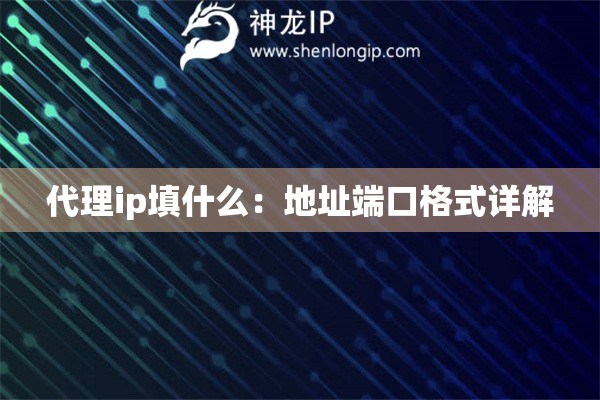 代理ip填什么：地址端口格式详解