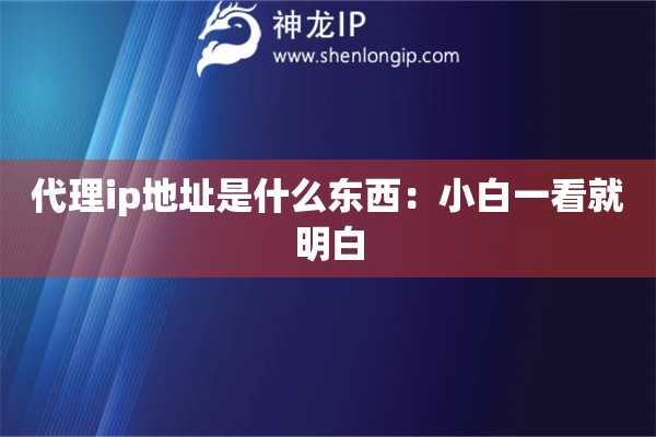 代理ip地址是什么东西：小白一看就明白