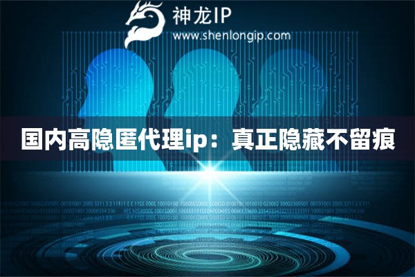 国内高隐匿代理ip：真正隐藏不留痕