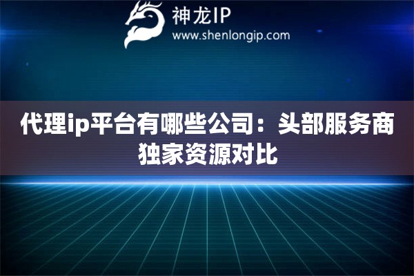 代理ip平台有哪些公司：头部服务商独家资源对比