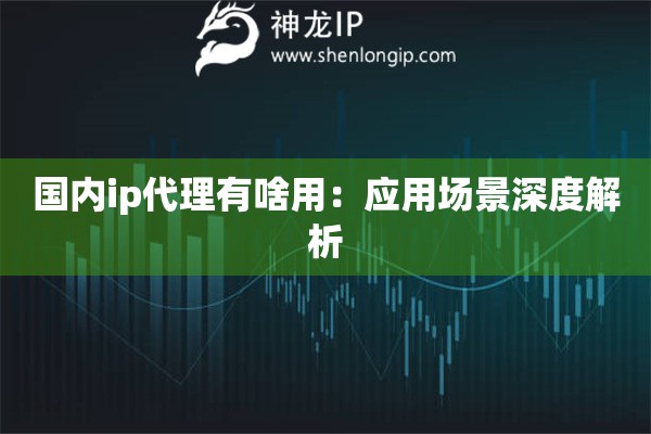 国内ip代理有啥用：应用场景深度解析
