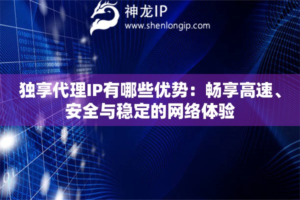 独享代理IP有哪些优势：畅享高速、安全与稳定的网络体验