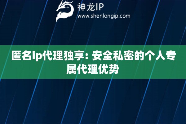 匿名ip代理独享: 安全私密的个人专属代理优势