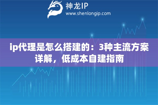 ip代理是怎么搭建的：3种主流方案详解，低成本自建指南