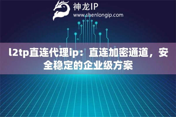 l2tp直连代理ip：直连加密通道，安全稳定的企业级方案