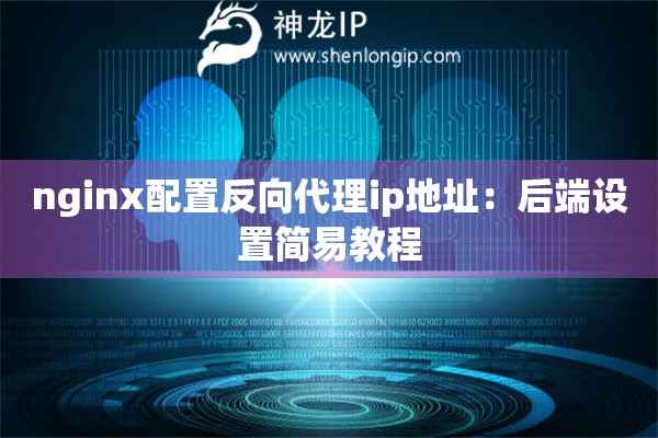 nginx配置反向代理ip地址：后端设置简易教程