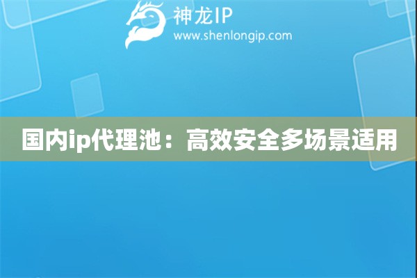 国内ip代理池：高效安全多场景适用