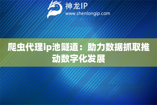 爬虫代理ip池隧道：助力数据抓取推动数字化发展