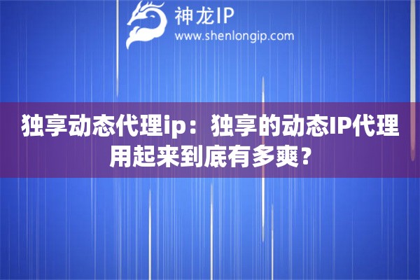 独享动态代理ip：独享的动态IP代理用起来到底有多爽？
