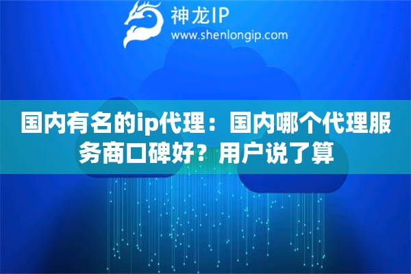 国内有名的ip代理：国内哪个代理服务商口碑好？用户说了算