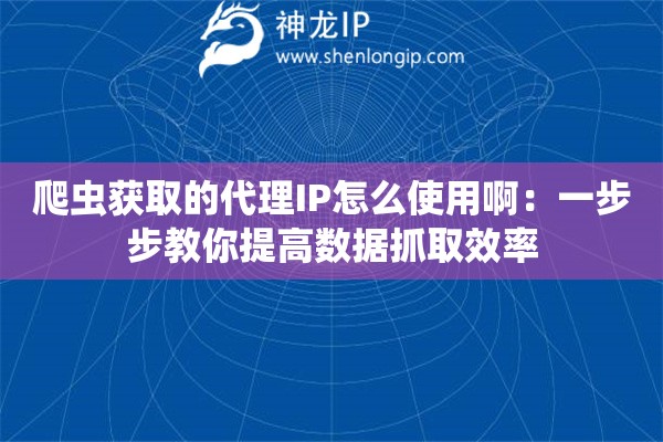 爬虫获取的代理IP怎么使用啊：一步步教你提高数据抓取效率